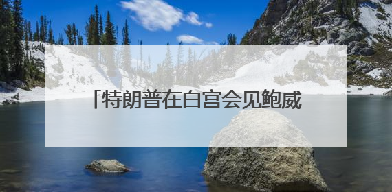 特朗普在白宫会见鲍威尔 讨论经济发展情况